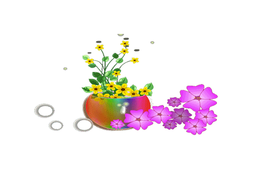 0 (3)闪动花瓶.gif